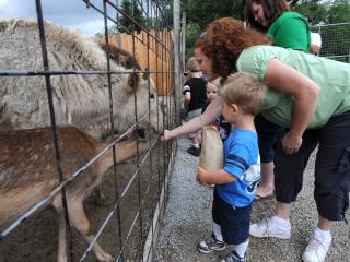 Animal Parks & Zoos in Laurel Highlands | Wildlife Parks
