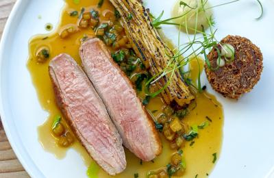 Creedy carver duck breast and celeriac dauphinoise