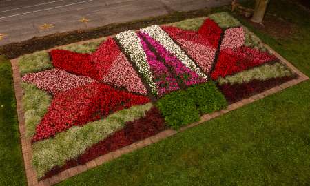 Image of a Quilt Garden