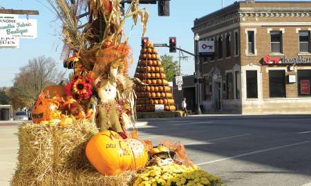 pumpkin-tree-wakarusa
