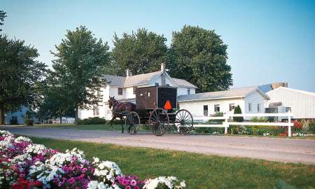Amish Buggy in Amish Country, northern Indiana