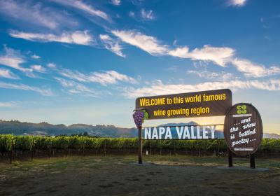 Best Napa Wineries To Visit 2021 Visit Napa Valley Board of Directors Elects Fiscal Year 2021 