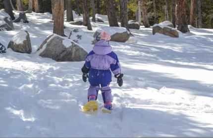 Small child Snowshoeing
