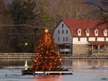 Christmas Tree at Children's Lake
