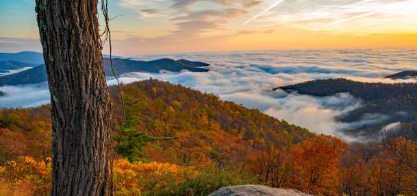 Shenandoah National Park Fall