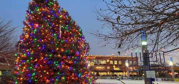 The Christmas tree at Main Street Square is illuminated by hundreds of colorful lights as dawn breaks over Main Street Square.