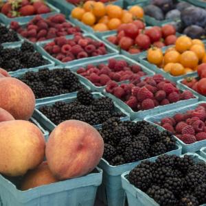 Farmers Markets Eugene Cascades Oregon Coast