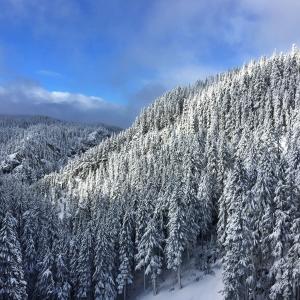 Top Things To Do This Winter Eugene Cascades Oregon Coast