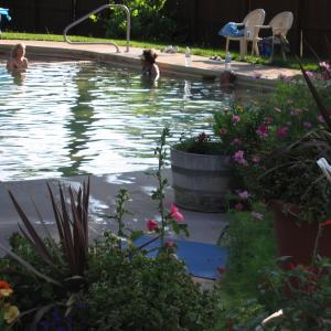 Trimble Hot Springs