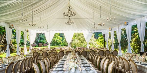 Weddings In Napa Valley Event Planning Venues Licenses