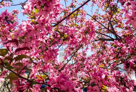 Spring Into the Action in Columbia, TN