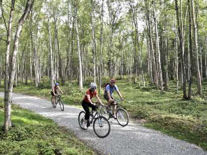 Reasons to Visit Anchorage  Visit Anchorage