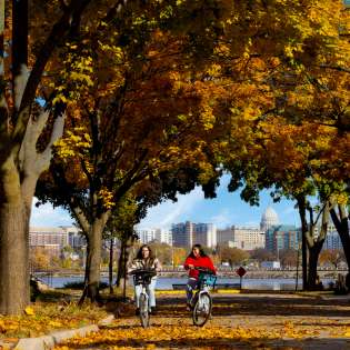 Biking - Fall Colors downtown