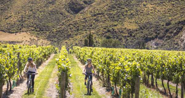 Friends biking through the vines in Gibbston