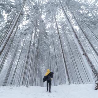 Hiking Colorado Trail in Durango During the Winter