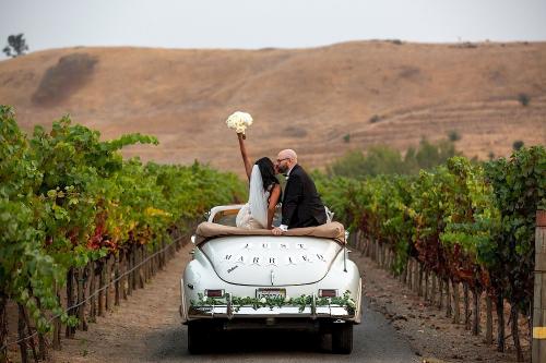 Just Married couple in Napa Valley vineyards