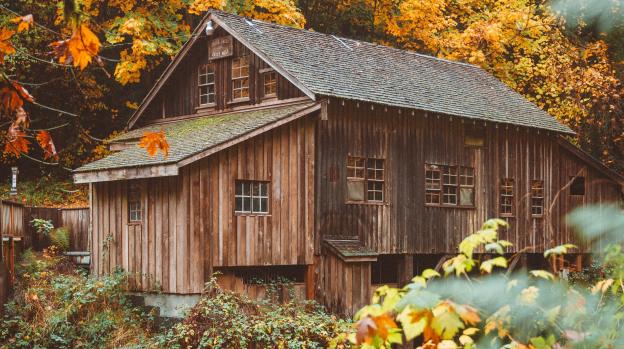 A rustic cabin situated in the lush woods with trees covered in autumn-colored leaves in Vancouver, WA.