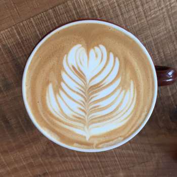 Cup of coffee with coffee art from Brioso Coffee