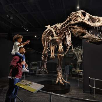Father and son exploring the Dinosaur Exhibit at COSI