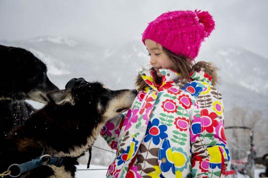 Sled dog leaning into little girl as she pets him