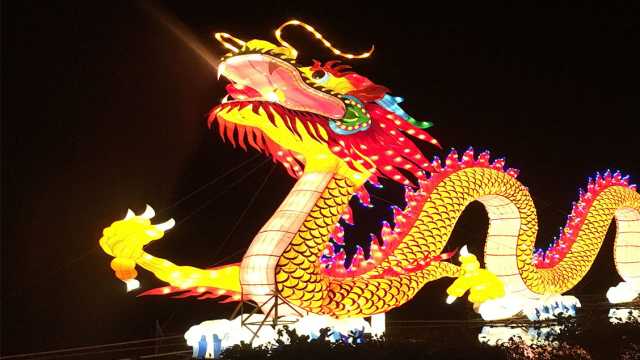 Chinese New Year 21 Activities In Dc Area Year Of The Ox Fxva
