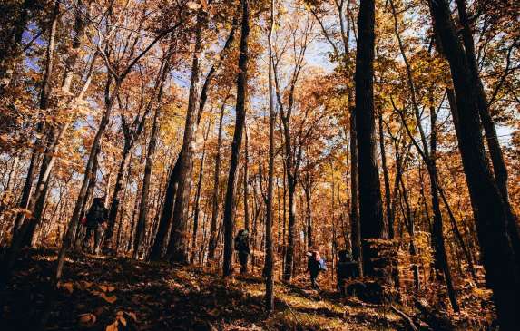 People hiking through the Hoosier National Forest during fall