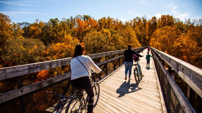 Great Allegheny Passage Fall