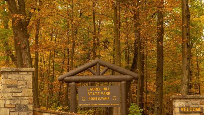 Laurel Hill State Park