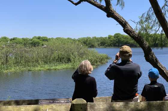 Find The Top Things To Do In Beaumont Tx
