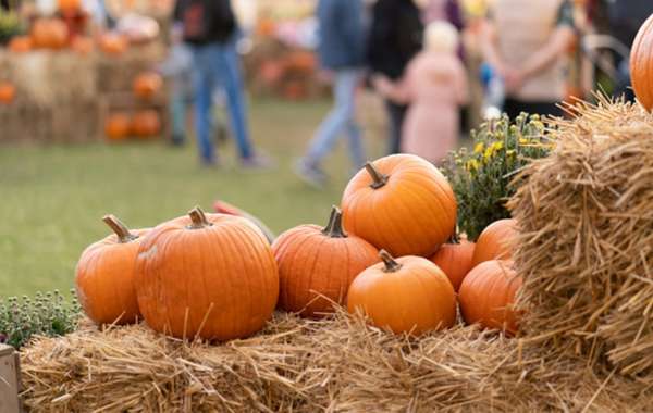 Your Texas Fall Vacation Guide