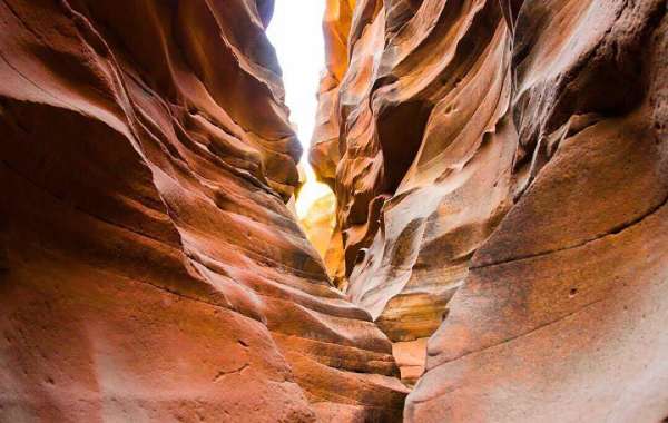 Discover The Scenic Beauty of Palo Duro Canyon