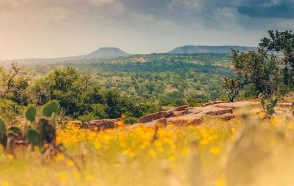 hill country travel guide