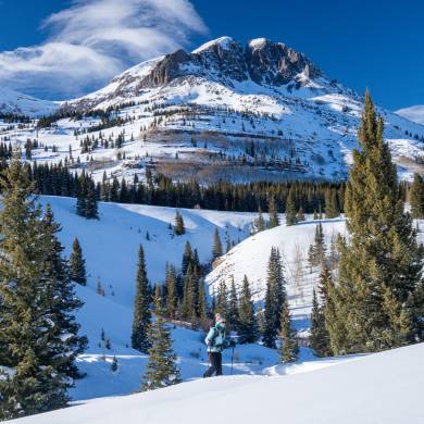 Snowshoeing on the Colorado Trail
