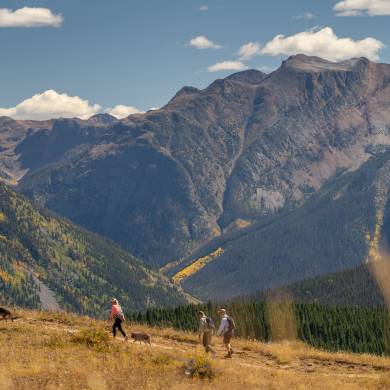 Hikers on the Colorado Trail During Fall