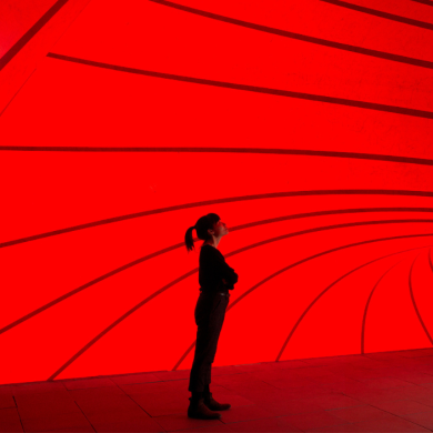 Anish Kapoor  Sectional Body Preparing for Monadic Singularity, 2015