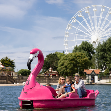 A family of two adults and two children on a pink swan boat on a marine lake in southport. There is a large ferris wheel in the background.