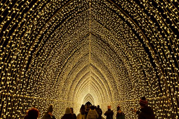 https://assets.simpleviewinc.com/simpleview/image/upload/c_fill,g_xy_center,h_391,q_75,w_588,x_317,y_371/v1/clients/newyorkstate/Winter_Cathedral_by_Mandylights_Copyright_Sony_Music_640x474_83307d36-e63c-4e1d-bc70-f3f9a7689840.jpg