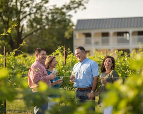 Signor Vineyards