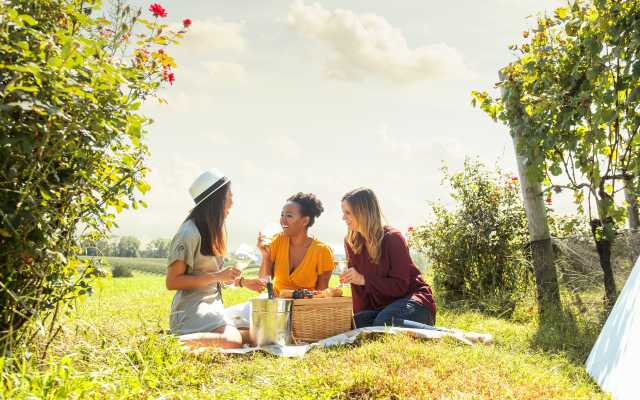 A Girlfriend S Guide To Loudoun County Lucketts Area Itinerary