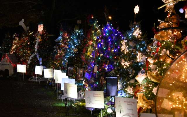 Davidson Christmas Parade 2022 Holiday Events In Lake Norman