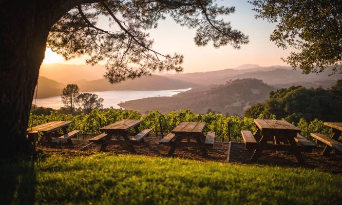 Visit Napa Valley Wineries Hotels Events Restaurants