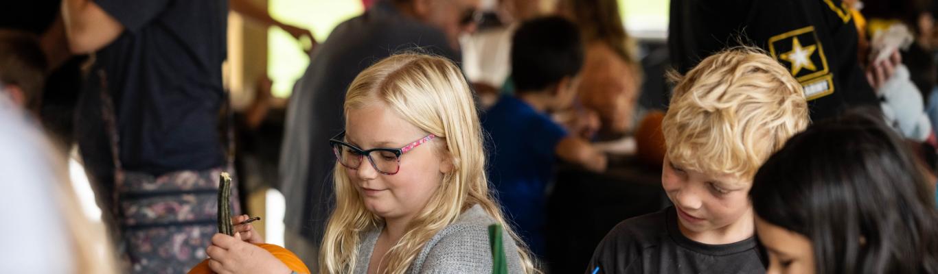 Delicious Food Festival in Madison with Music and Culinary Delights