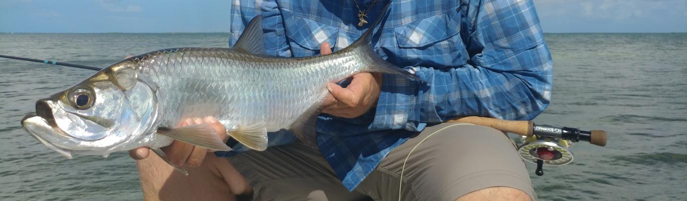 Celebrating the Mighty Tarpon: The Heart of Charlotte County's