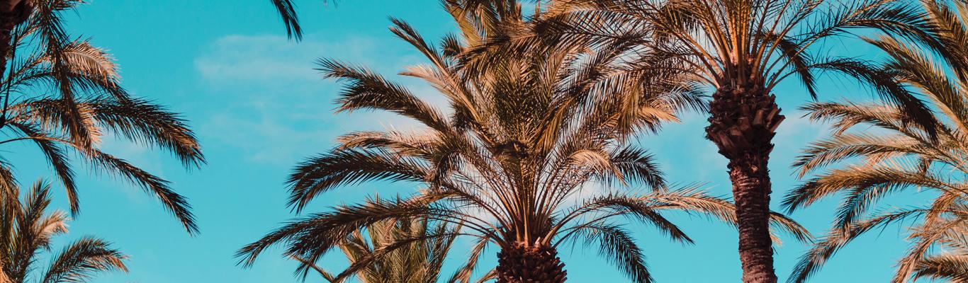 Download Scenic Zoom Backgrounds From Greater Palm Springs Download Scenic Zoom Backgrounds From Greater Palm Springs