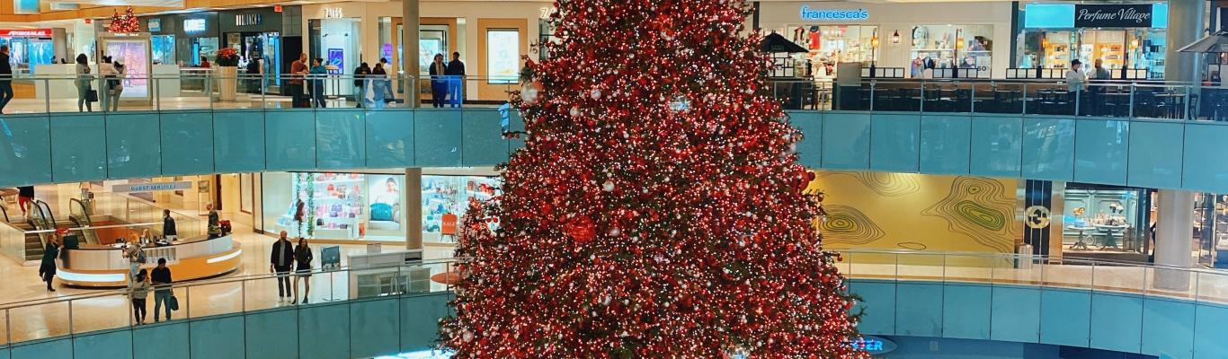 Nation's Tallest Indoor Christmas Tree Takes Root In A Dallas Shopping Mall