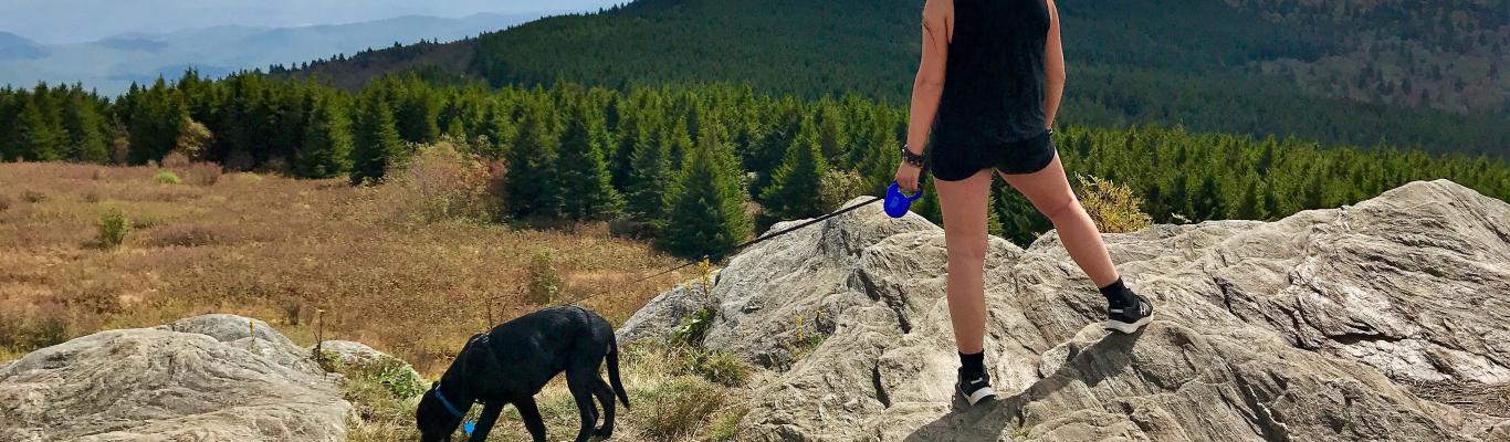 Explore these hiking trails just outside of the Great Smoky Mountains National Park