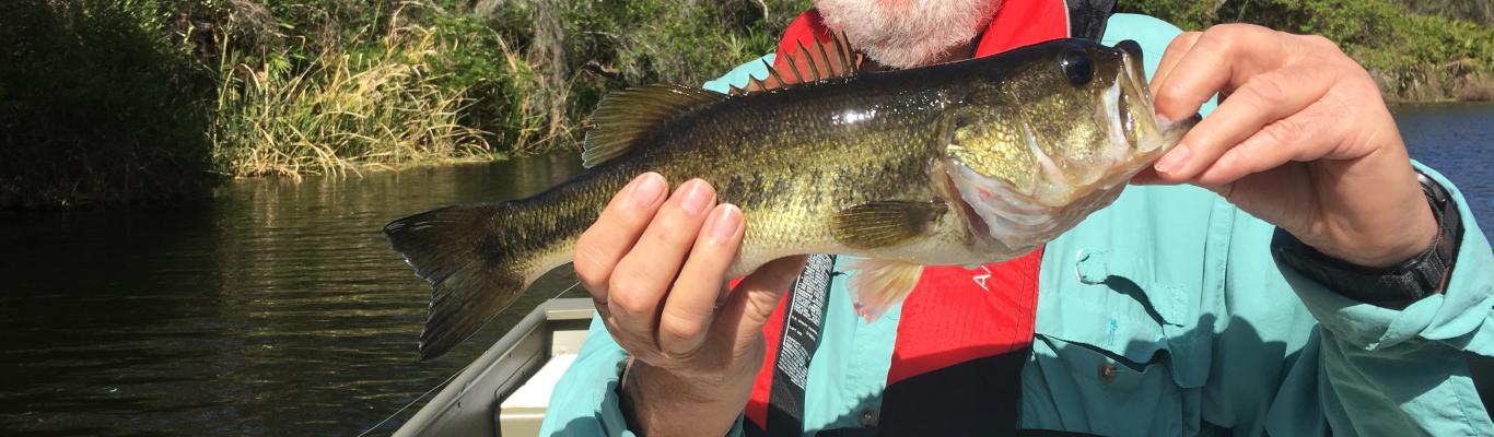 7 Reasons to Plan a Shell Creek Fishing Trip