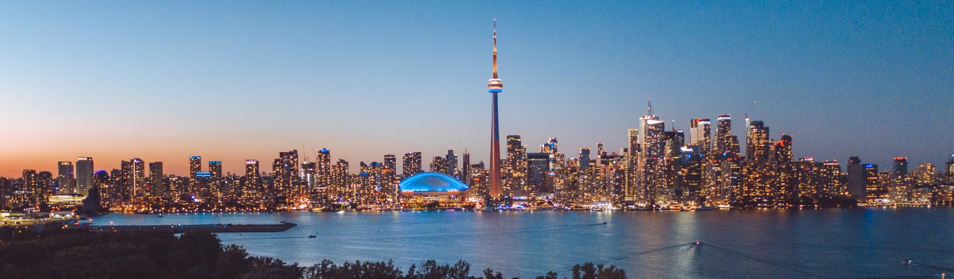 Toronto skyline in the winter