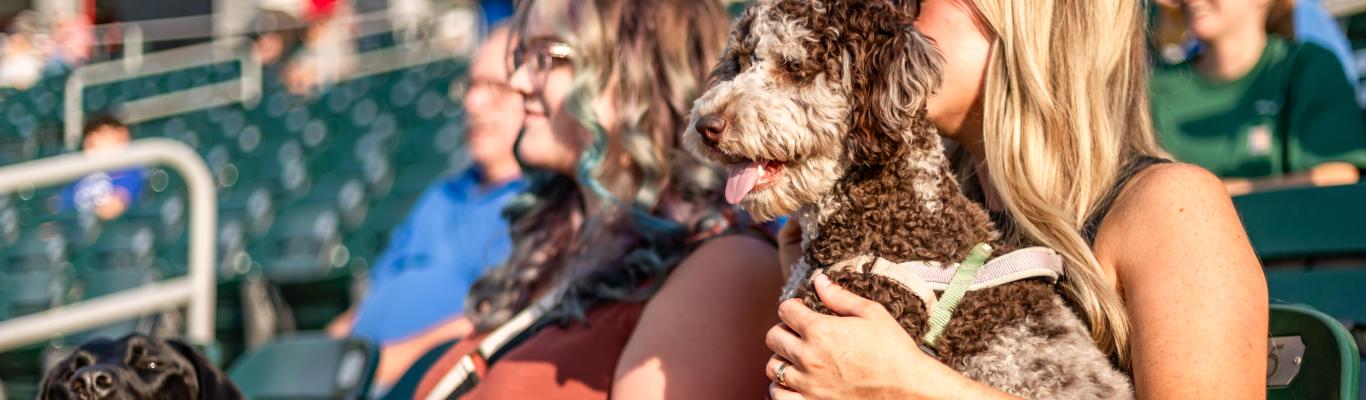 Mariners' 'Bark in the Park' combined America's two favorite things: good  dogs and baseball 