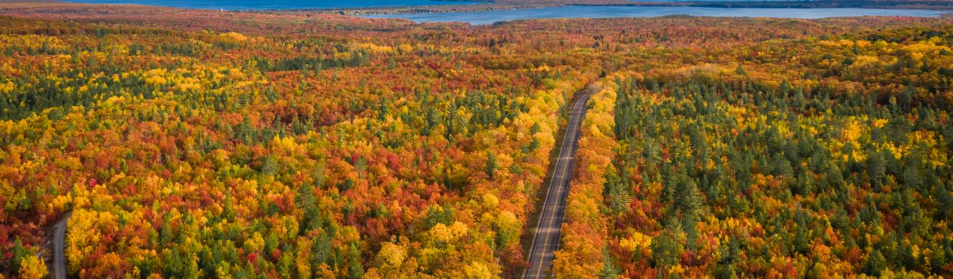 Fall in Love with Big Bay